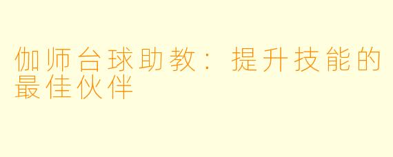 伽师台球助教：提升技能的最佳伙伴