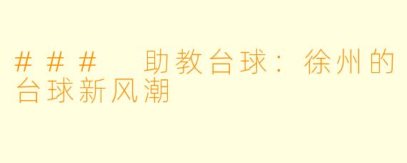 ### 助教台球：徐州的台球新风潮
