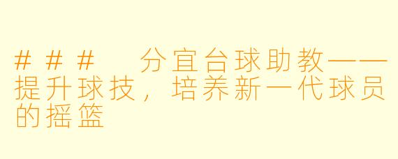 ### 分宜台球助教——提升球技，培养新一代球员的摇篮