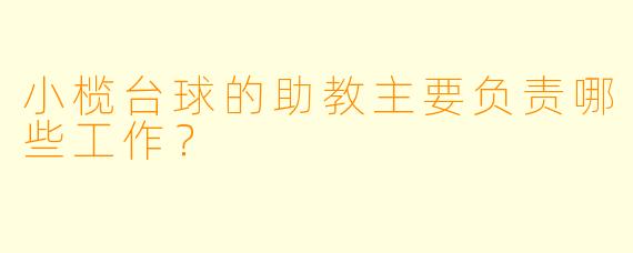 小榄台球的助教主要负责哪些工作？