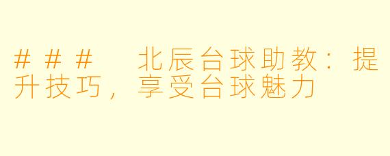 ### 北辰台球助教:提升技巧,享受台球魅力