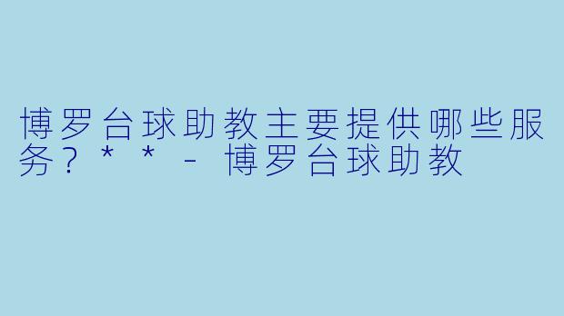 博罗台球助教主要提供哪些服务？**
