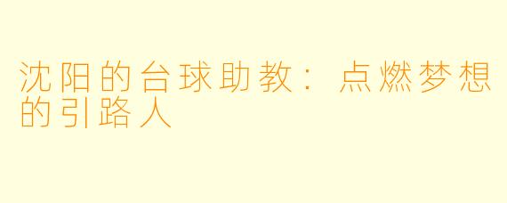 沈阳的台球助教:点燃梦想的引路人