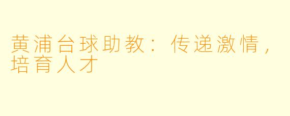 黄浦台球助教：传递激情，培育人才