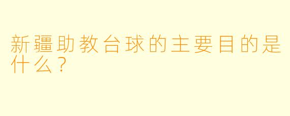 新疆助教台球的主要目的是什么？