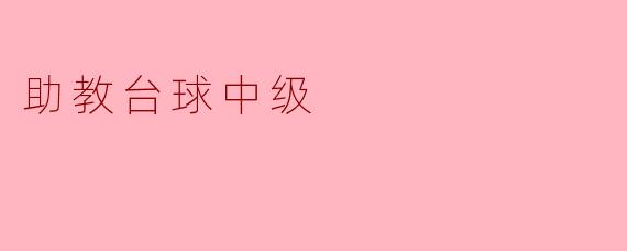 助教台球中级