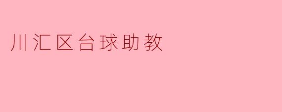 川汇区的台球助教主要负责哪些工作?****
