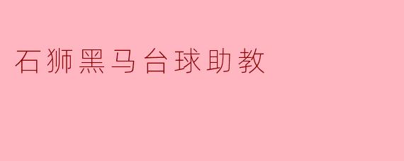 石狮黑马台球助教主要提供哪些服务？****