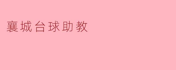 襄城的台球助教有什么特别的教学方式?****