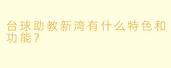 台球助教新湾有什么特色和功能?