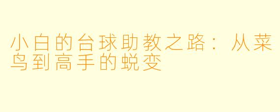 小白的台球助教之路:从菜鸟到高手的蜕变
