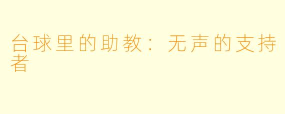 台球里的助教：无声的支持者