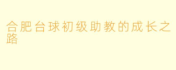 合肥台球初级助教的成长之路