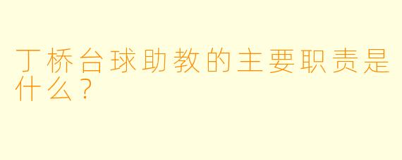 丁桥台球助教的主要职责是什么？
