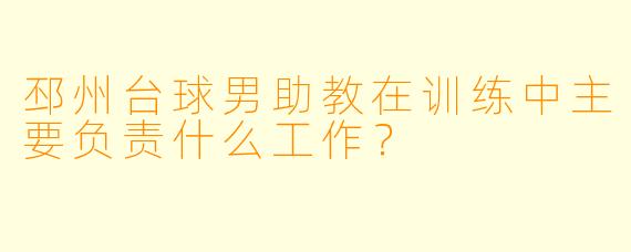 邳州台球男助教在训练中主要负责什么工作？