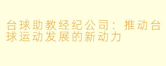 台球助教经纪公司：推动台球运动发展的新动力