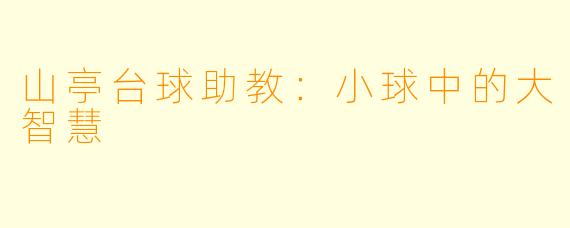 山亭台球助教：小球中的大智慧