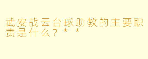 武安战云台球助教的主要职责是什么？**