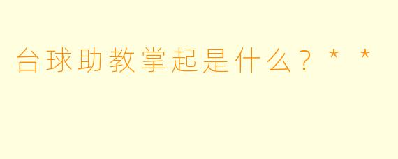 台球助教掌起是什么？**