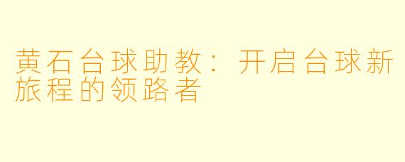 黄石台球助教:开启台球新旅程的领路者