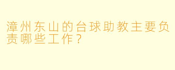漳州东山的台球助教主要负责哪些工作？