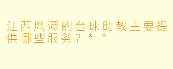 江西鹰潭的台球助教主要提供哪些服务？**