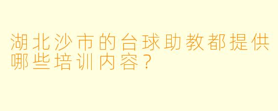 湖北沙市的台球助教都提供哪些培训内容？