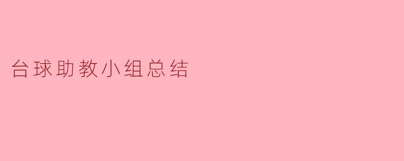 台球助教小组总结