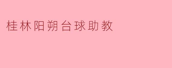 桂林阳朔台球助教