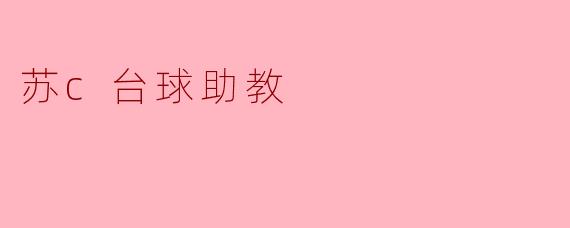 苏c台球助教