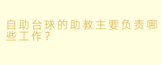 自助台球的助教主要负责哪些工作？