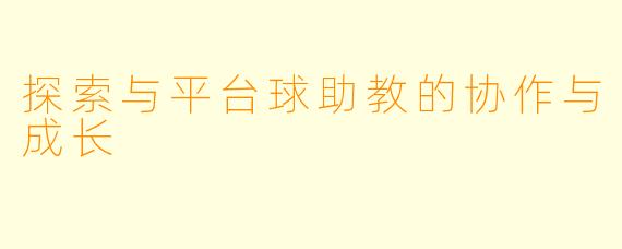探索与平台球助教的协作与成长