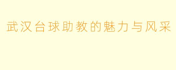 武汉台球助教的魅力与风采
