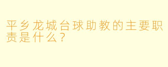 平乡龙城台球助教的主要职责是什么？