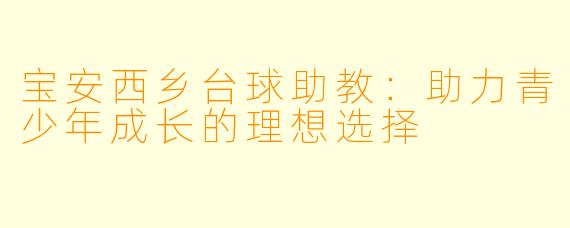 宝安西乡台球助教：助力青少年成长的理想选择
