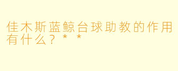 佳木斯蓝鲸台球助教的作用有什么?**