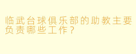 临武台球俱乐部的助教主要负责哪些工作？