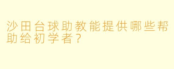 沙田台球助教能提供哪些帮助给初学者?