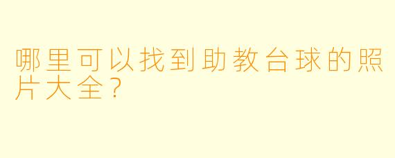 哪里可以找到助教台球的照片大全?