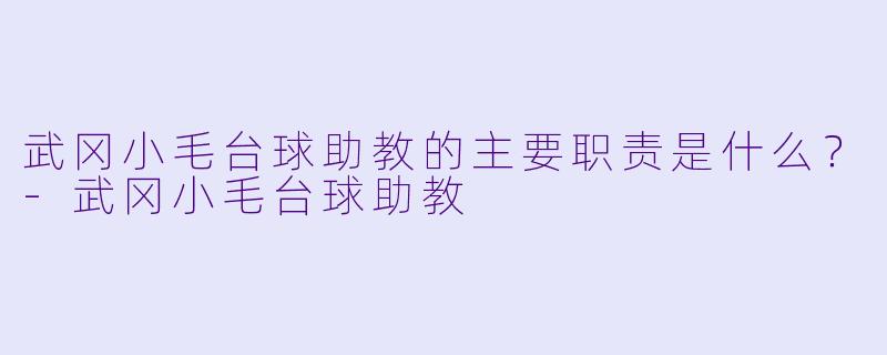 武冈小毛台球助教的主要职责是什么？