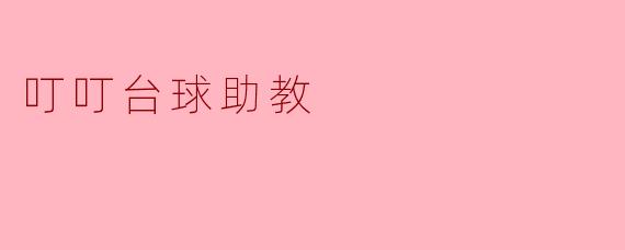 叮叮台球助教