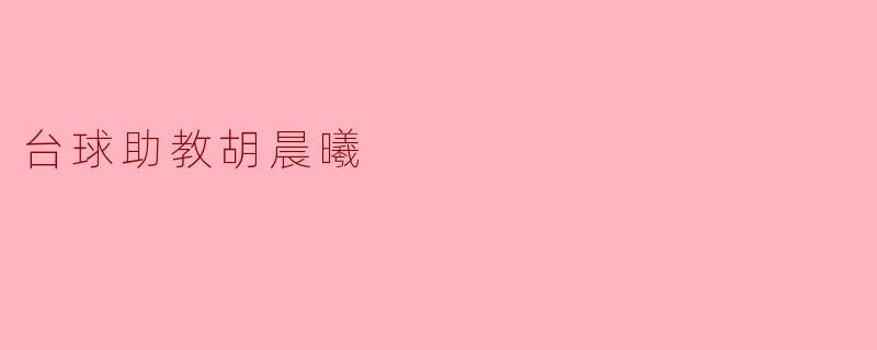台球助教胡晨曦