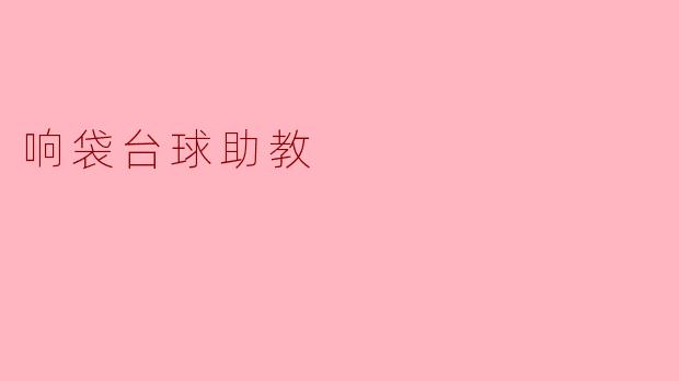 响袋台球助教