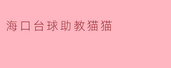 海口台球助教猫猫
