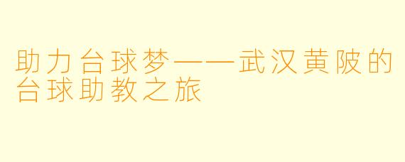 助力台球梦——武汉黄陂的台球助教之旅
