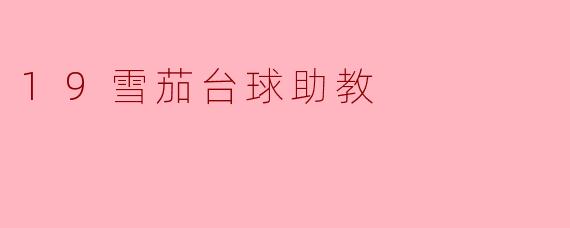 什么是“19雪茄台球助教”,它的主要功能和特点是什么?