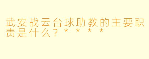 武安战云台球助教的主要职责是什么？****