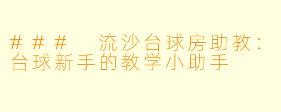 ### 流沙台球房助教：台球新手的教学小助手