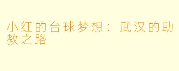 小红的台球梦想：武汉的助教之路