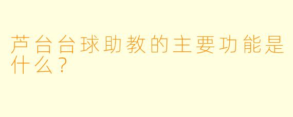 芦台台球助教的主要功能是什么？